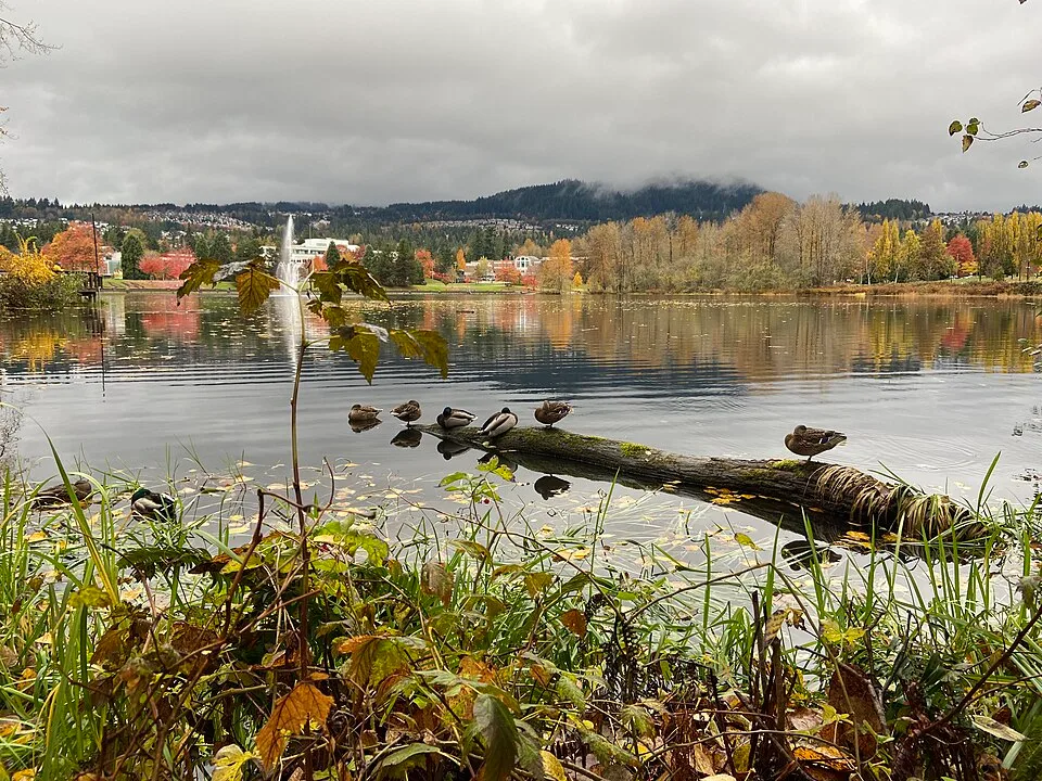 Lafarge Lake in Coquitlam